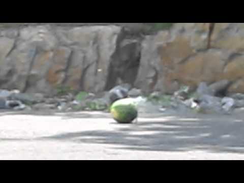 See video