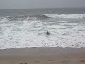 Dino: Redondo