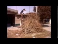 Click here to watch this video se lanza de un arbol hasta el piso