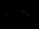 The Stacey and Britteny Puppet Show