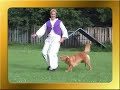 Ruby heelwork to music, freestyle