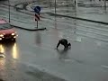 Serbian Monkey in Belgrade!