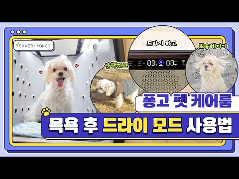 업계 최초! 대표가 직접 경험한 20분 드라이 꿀팁!