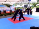 中華武術散打搏擊協會2008K-1優勝《排灣勇者》楊東雄，2007北京格鬥優勝《格鬥小天王》范仲杰率本會黑、褐帶好手黃國洋、鄭宇哲、張傑、阿岳、阿倫等做散打搏擊系列精采展演