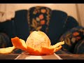 orange peeling itself orange peeling itself