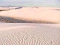 NewMexico ?White Sands (????????)??? NewMexico ?White Sands (????????)???