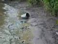 Kings School Worcester vandalising River Severn Ecology