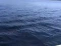 so this is my old terhi 4hp air-cooled and fully working! i'm driving it on a suomi 410 (4,10 meters long) fiberglass boat. if any questions feel free to ask.