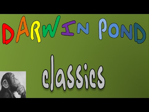 Life Simulation - This is an introduction to the nerderific simulation software called Darwin Pond. In this video, I'm showing the interface and functions and setting up a bas...