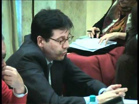 Intervento di Raimondo Catanzaro [4/14]