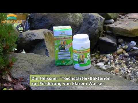Heissner Teichstarter-Bakterien