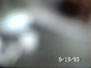 bar bug from hell