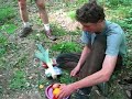Zeldzame natuur in Nederland Zeldzame natuur in Nederland
