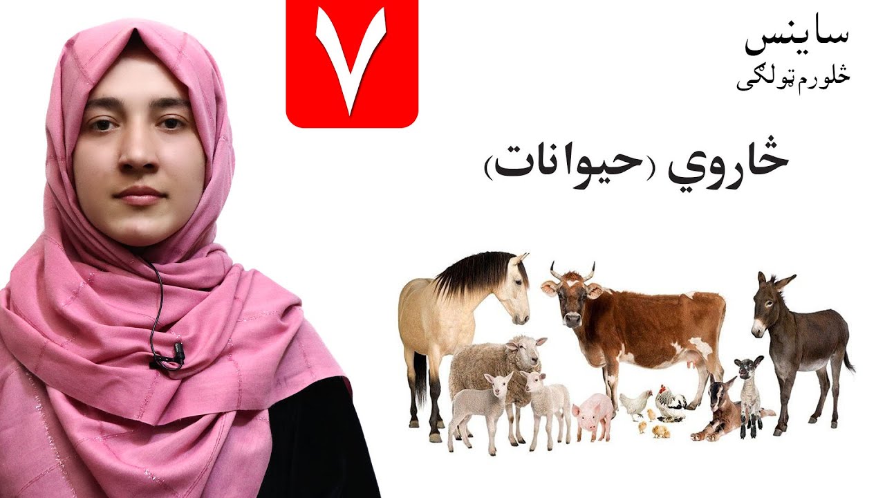 LESSON 7 _ Grade 4 SCIENCE / اووم لوست ـ د ساینس مضمون ـ څلورم ټولګی