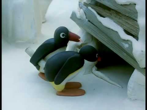Pingu - Message in a bottle