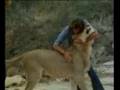 Christian The Lion - Full (High Quality) © Beckmann Group.