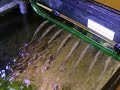 Eheim 2076 Pro 3 Bio Stream Wave Function on my cichlid tank Eheim 2076 Pro 3 Bio Stream Wave Function on my cichlid tank
