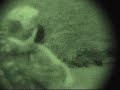 NightHogsDotcom night vision wild hog hunting NightHogsDotcom night vision wild hog hunting