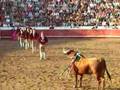 Bullfight