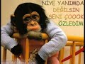 g�rmez olsun