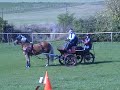Übungsfahrturnier Finale Rhön Grabfeld Cup Ostheim  2009