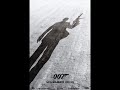 James Bond 007 Quantum Of Solace  poster