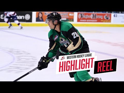 2018-19 HIGHLIGHT REEL | Brett Leason