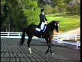 Young Riders Team/Able Spirit/Emily Rawle Young Riders Team/Able Spirit/Emily Rawle
