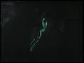 mecaz-mersn-merkez-shamrock-partylve-perfonmance-.html