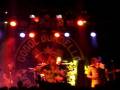 videos de Gogol Bordello