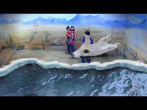 Illusion 3D Art Museum(Sea Animals) , Kuala Lumpur