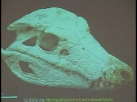 Prehistoric killer Crocodile discovered Video
