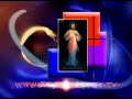 Divine Mercy TV Logo