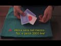La zingara e la scimmietta
