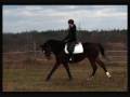 Skoki Hamburga (JUMPING)