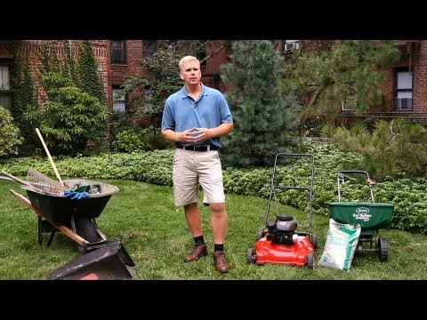 how to fertilize fescue grass