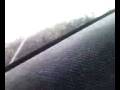 videos de birds attack...yeahs