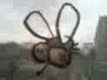Animació Mosca Mòbil Animació Mosca Mòbil