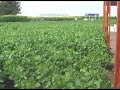 Conciencia Rural en Expoagro 2012.mp4