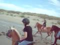 horse ride onthe beach
