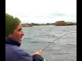 Peche au bar et test des shads powerbait berkley Peche au bar et test des shads powerbait berkley