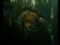 Davy Jones & Calypso ♥ - Locket theme