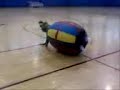 Rolly Polly Peyton