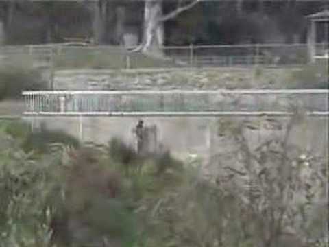 Whispering Wall (Barossa Valley)