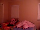Roomates
