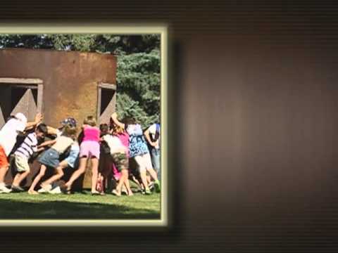 Video Image