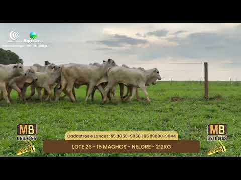 522 LEILO VIRTUAL MB LEILES