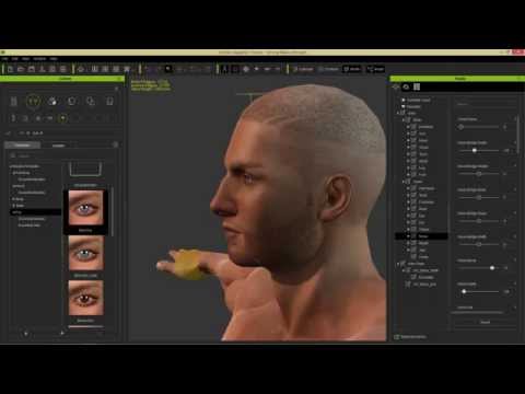 hair for character creator 3 hair for character creator 3