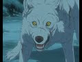 Wolf\ Wolf\