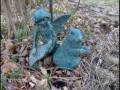 videos de Fairy Grooming Squirrel